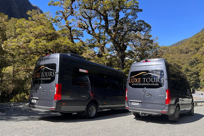 Milford Sound Full Day Tour from Te Anau with Cruise - Why this Te Anau departure works so well