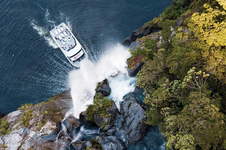 Milford Sound: Nature Cruise - Grand Views & Optional Lunch - Key Points Before You Book