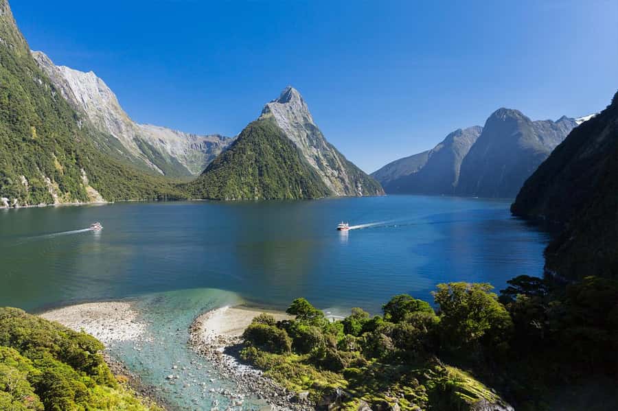 Milford Sound: Nature Cruise & Milford Track Walk - Why combine the Milford Track and Milford Sound cruise?