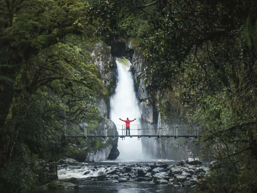 Milford Sound: Nature Cruise & Milford Track Walk - What the catamaran adds to Milford Sound