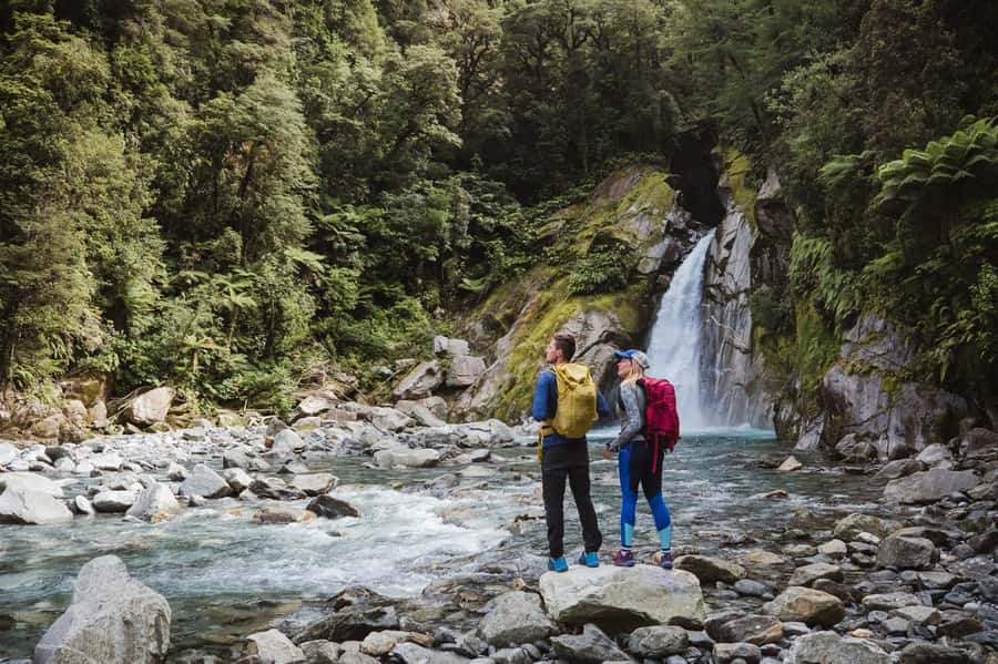 Milford Sound: Nature Cruise & Milford Track Walk - Wildlife is possible, but never guaranteed