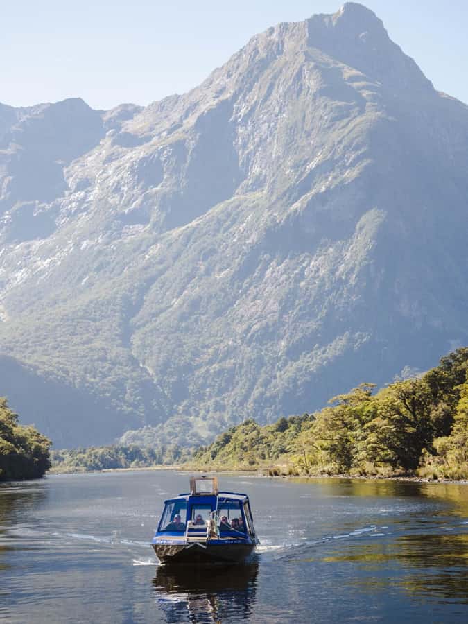 Milford Sound: Nature Cruise & Milford Track Walk - Is $133 good value?