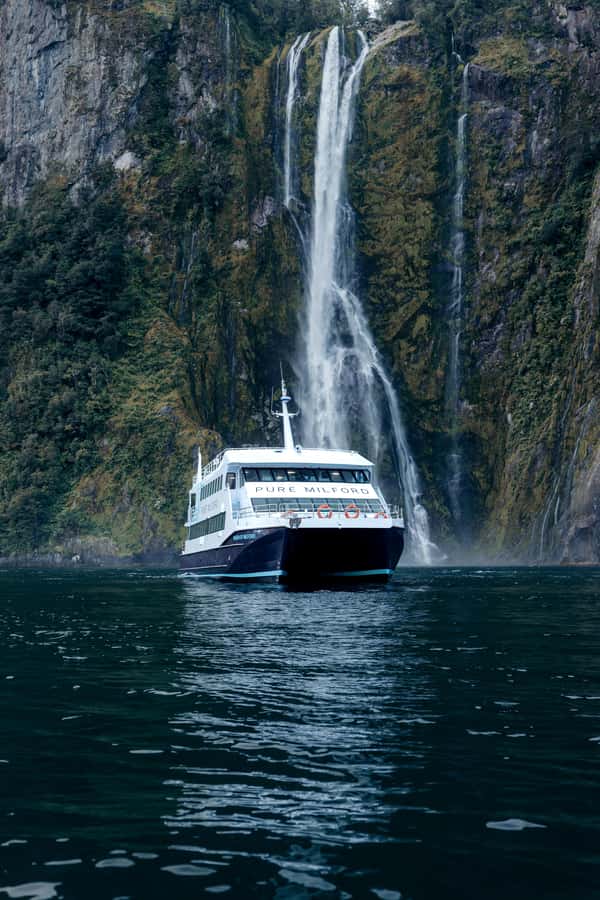 Milford Sound: Nature Cruise on a Modern Catamaran - Key points before you book