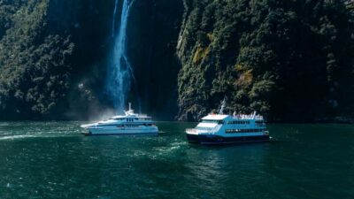 Nature Cruise on a Modern Catamaran