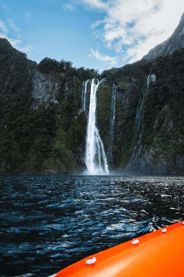 Milford Sound: Nature Cruise on a Modern Catamaran - Wildlife along the route