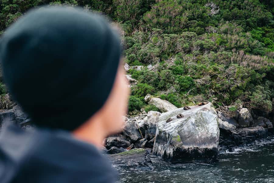 Milford Sound: Nature Cruise on a Modern Catamaran - Accessibility and practical comfort