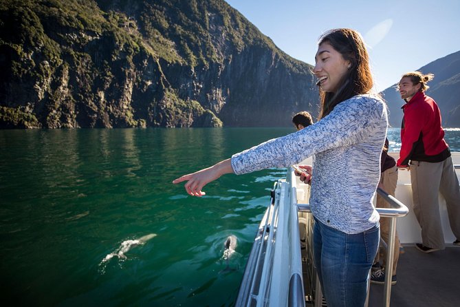 Milford Sound Nature Cruise with Southern Discoveries - Quick points before you book