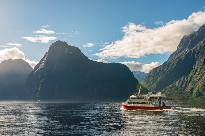 Milford Sound Nature Cruise with Southern Discoveries - Wildlife sightings require good timing and luck