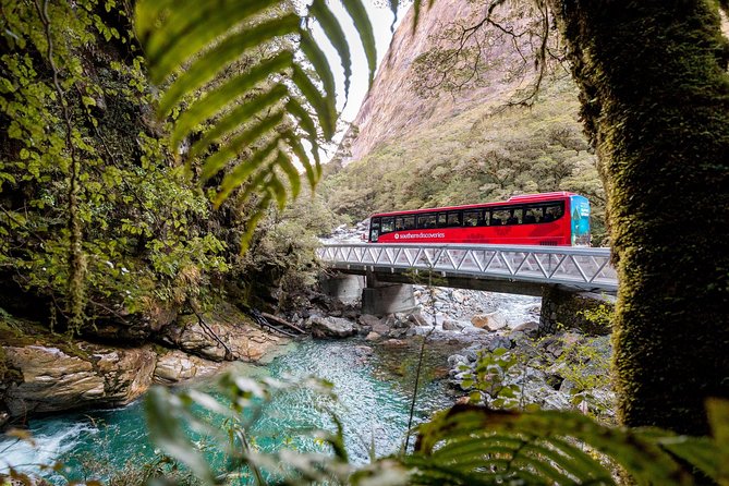 Milford Sound Premium Coach & Cruise from Queenstown with Lunch - Mirror Lakes and Monkey Creek: short walks with weather limits