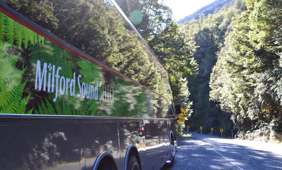 Milford Sound Premium Day Tour and Cruise from Te Anau - Starting in Te Anau: the practical advantage