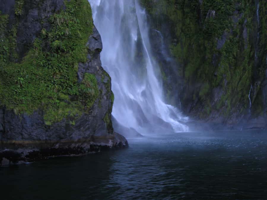 Milford Sound Premium Day Tour and Cruise from Te Anau - Mirror Lakes and the five-minute rainforest walk