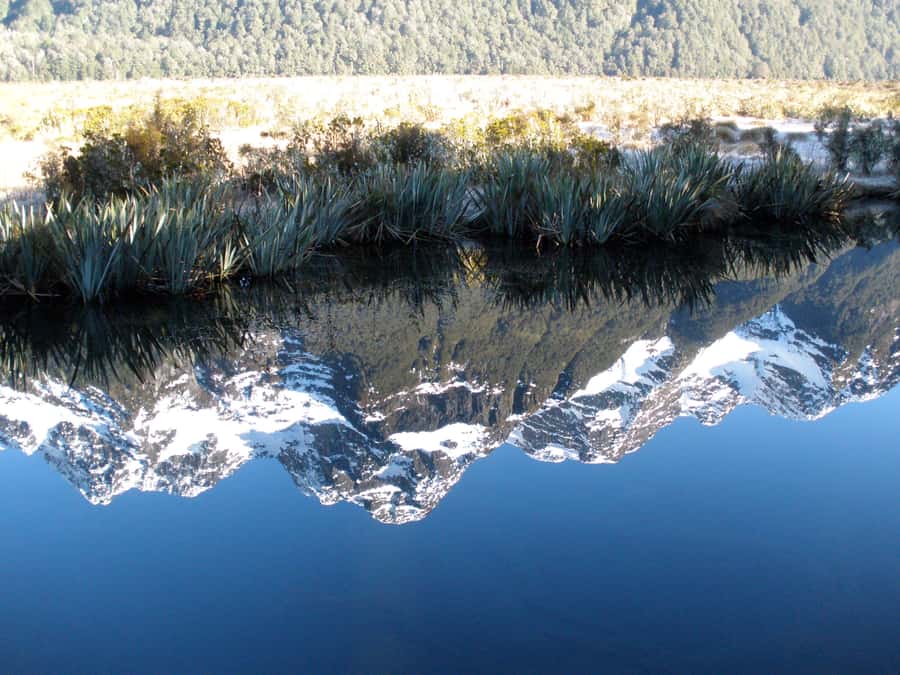 Milford Sound Premium Day Tour and Cruise from Te Anau - Food, drinks, and what to pack