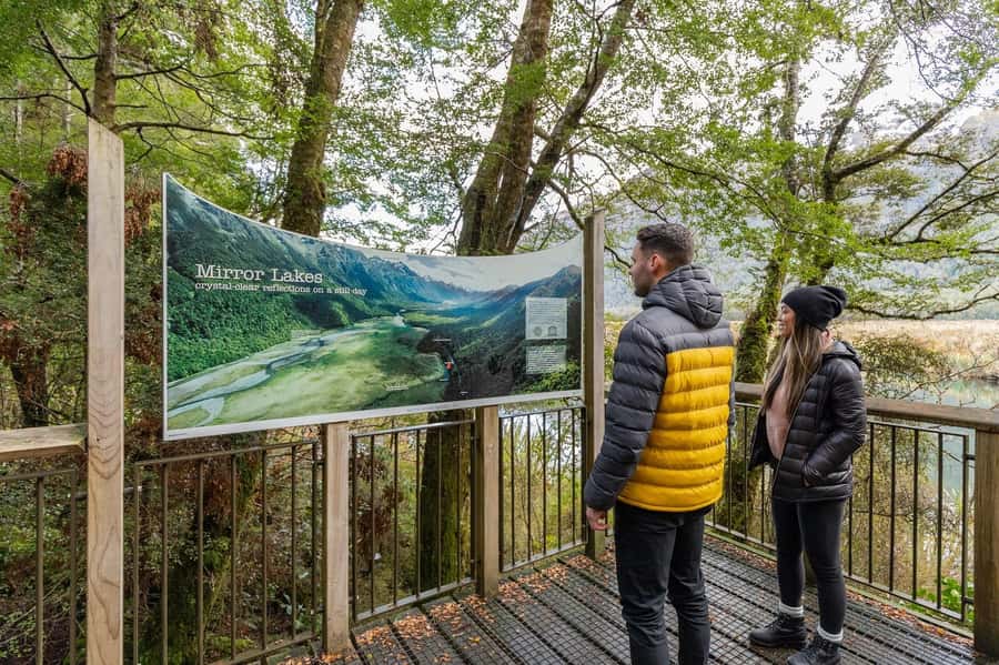 Milford Sound: Premium Small Group Tour from Queenstown - Entering Fiordland National Park on Milford Road