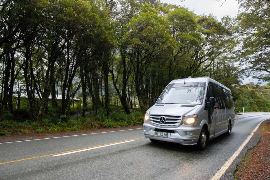 Milford Sound: Premium Small Group Tour from Queenstown - Milford Sound and the two-hour nature cruise