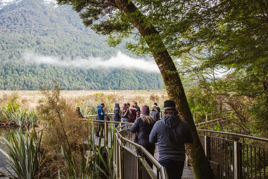 Milford Sound: Premium Small Group Tour from Queenstown - What the guides add to a long road day