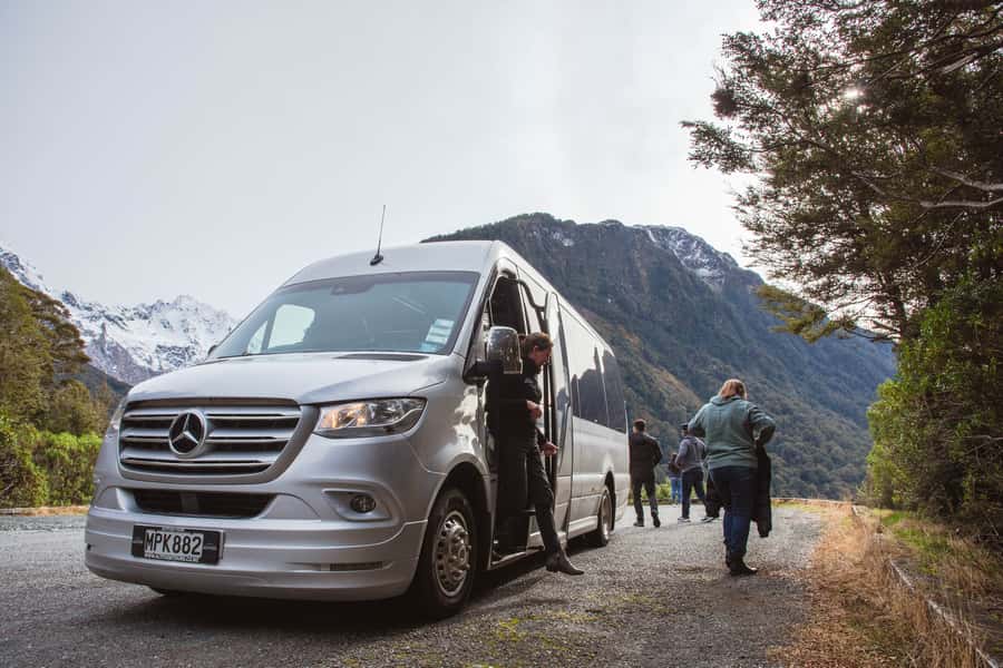 Milford Sound: Premium Small Group Tour from Queenstown - Is $226 good value?