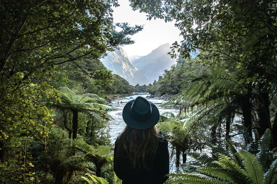 Milford Sound: Self-Guided Milford Track Day Walk - Key points at a glance