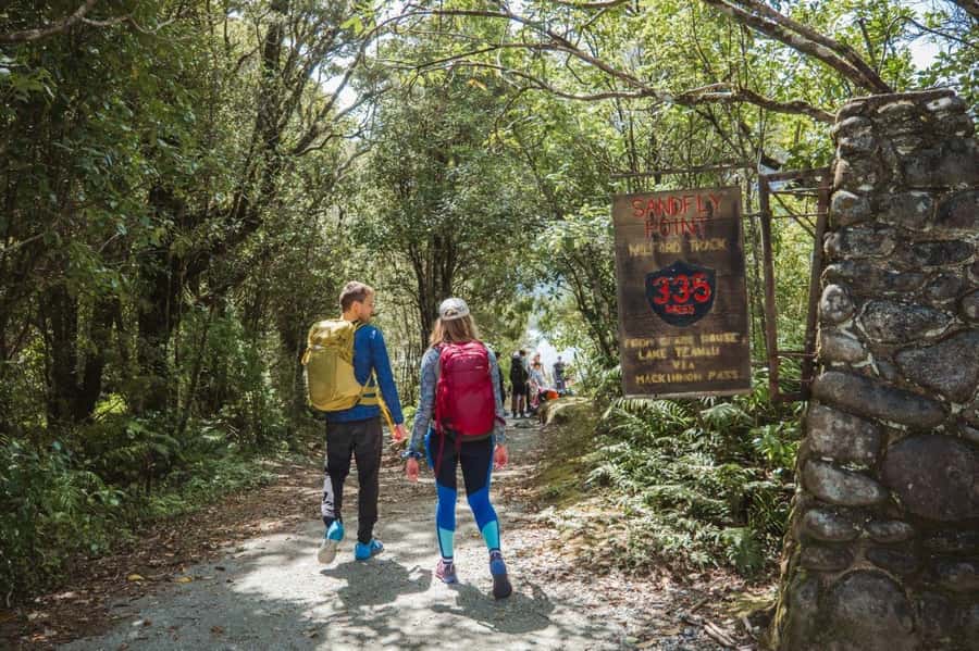 Milford Sound: Self-Guided Milford Track Day Walk - The short boat ride to Sandfly Point