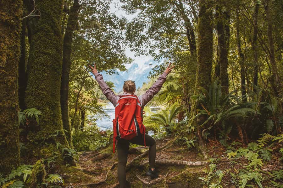 Milford Sound: Self-Guided Milford Track Day Walk - Walking the Milford Track through beech and rimu forest