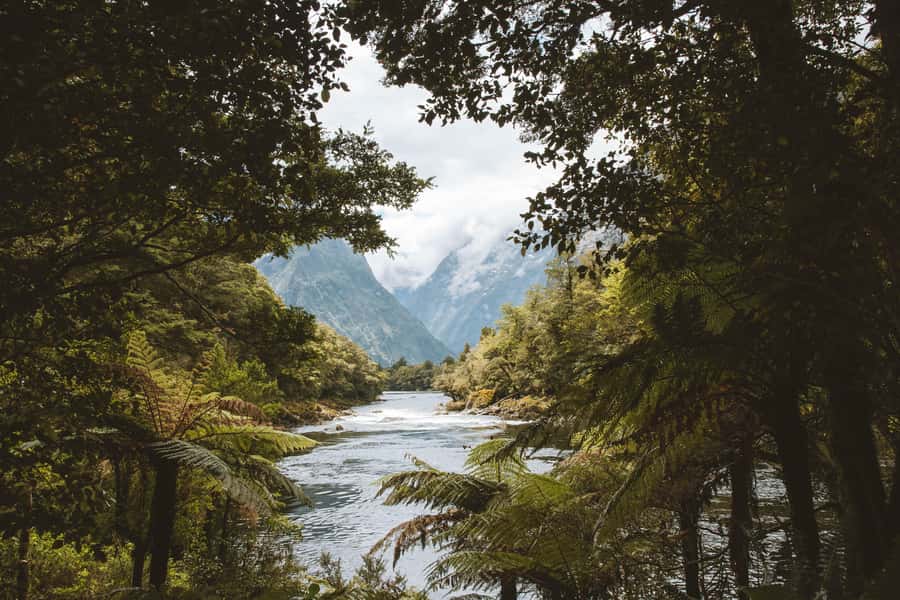 Milford Sound: Self-Guided Milford Track Day Walk - How scenic is the walk?