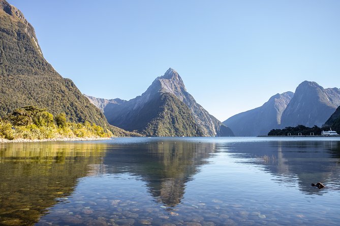 Milford Sound Small Group Tour from Queenstown with Scenic Flight - Queenstown pickup and the early road journey