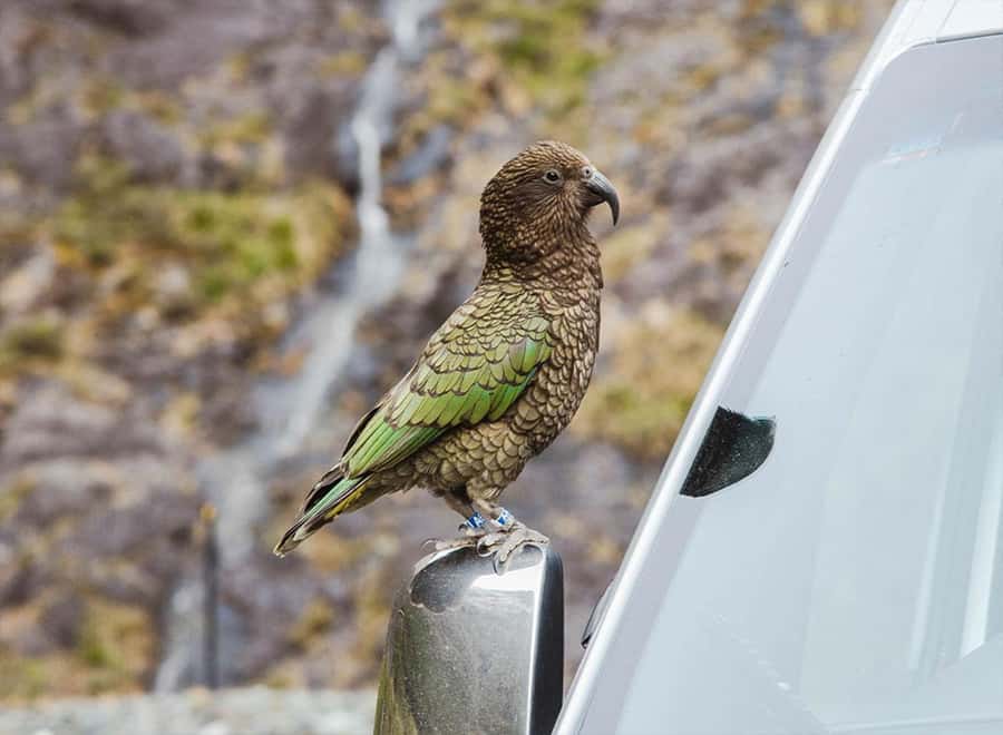 Milford Sound: Small-Group Tour from Te Anau - The smaller boat cruise
