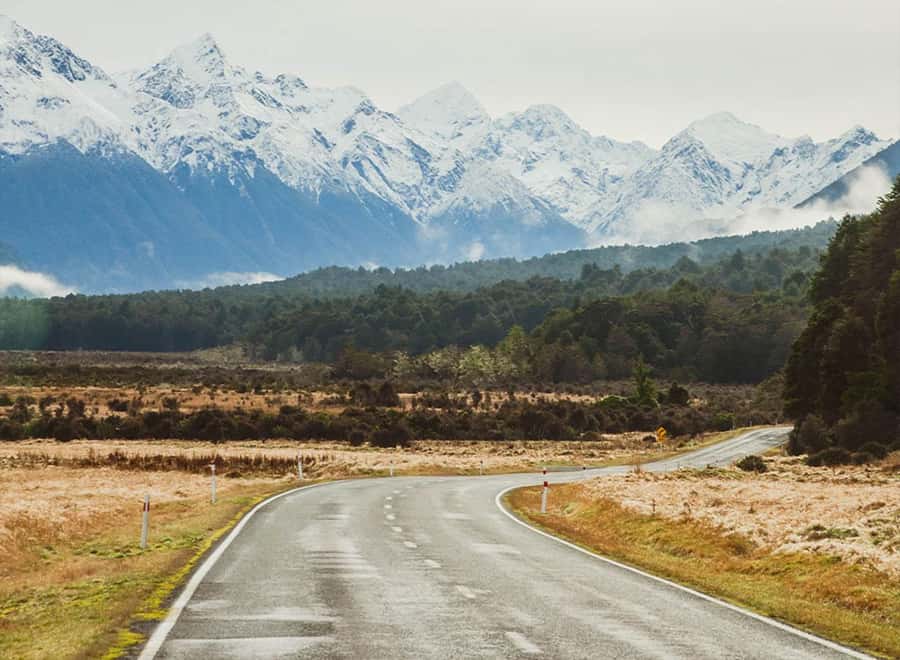 Milford Sound: Small-Group Tour from Te Anau - A closer look at the small-group advantage