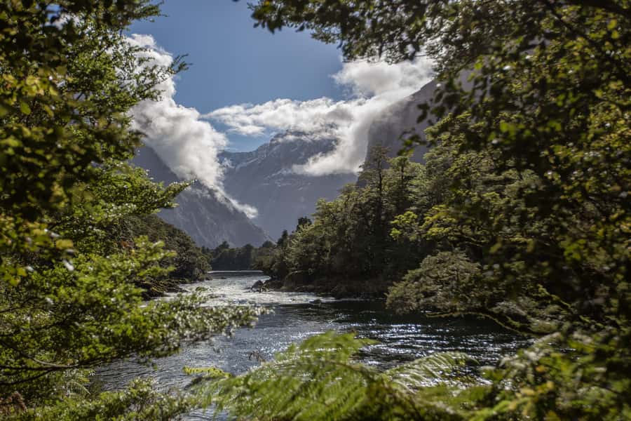 Milford Track: Full Day Guided Hike and Nature Cruise - Key points to know before you book