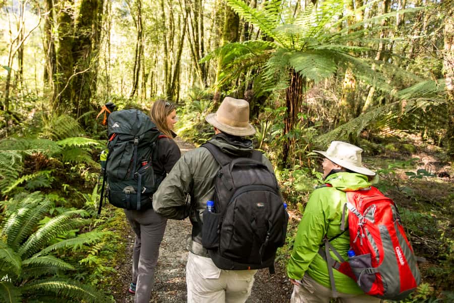 Milford Track: Full Day Guided Hike and Nature Cruise - Walking beside the Arthur River toward Lake Ada