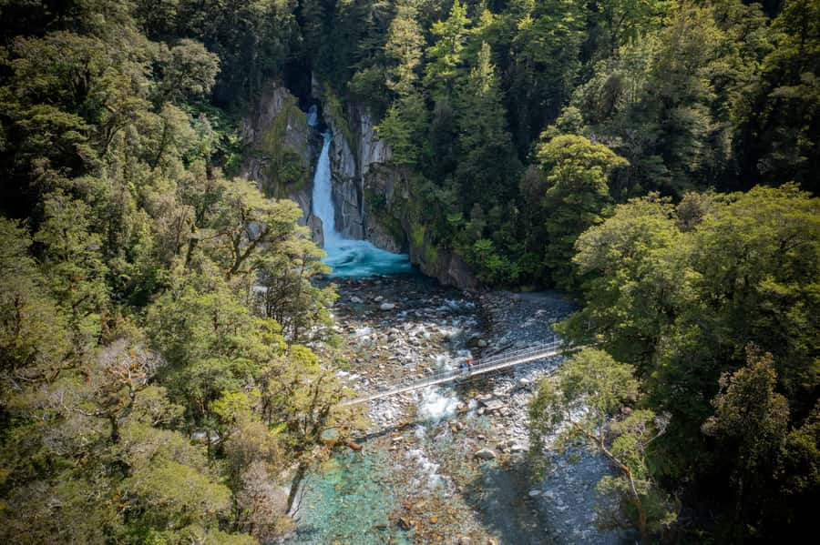 Milford Track: Full Day Guided Hike and Nature Cruise - Two hours on a small Milford Sound cruise