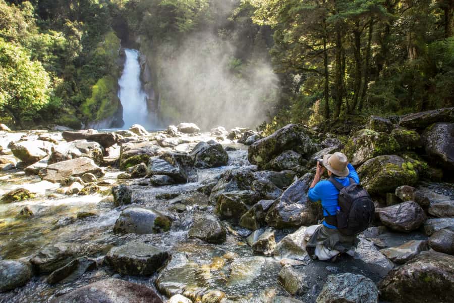 Milford Track: Full Day Guided Hike and Nature Cruise - How much value do you get for $215?