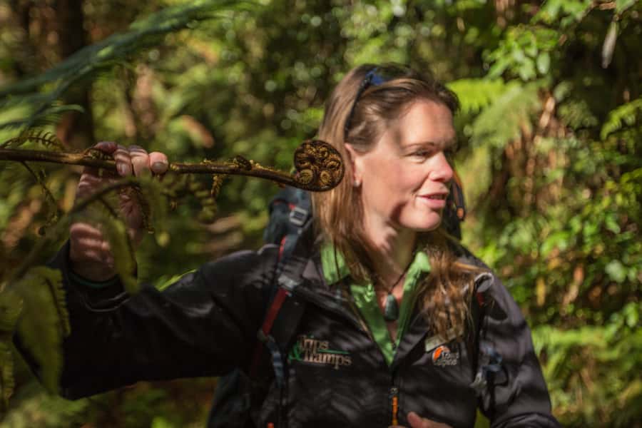 Milford Track: Full Day Guided Hike and Nature Cruise - Reaching Milford Sound for an 8:30 AM check-in