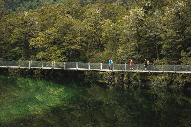 Milford Track Multi-Night Hike - Water Taxi Transport - Timing, Communication, and the 14-Person Limit