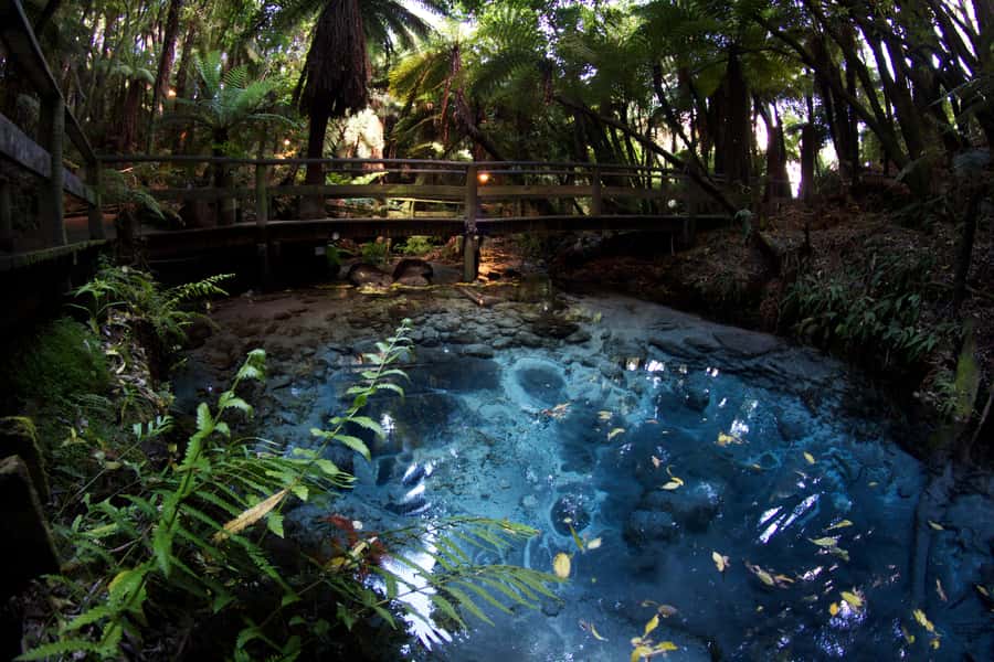 Mitai Maori Village: Cultural Experience and Dinner Buffet - Sacred spring, old pā, and glow worms
