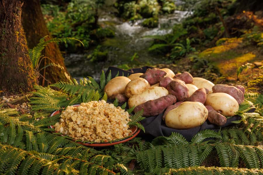 MITAI MAORI VILLAGE Night XP & Polynesian Spa from Auckland - Is $537 good value?