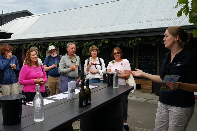 Morning Guided with Afternoon Self-Guided Biking Wine Tour - The afternoon gives you room to choose