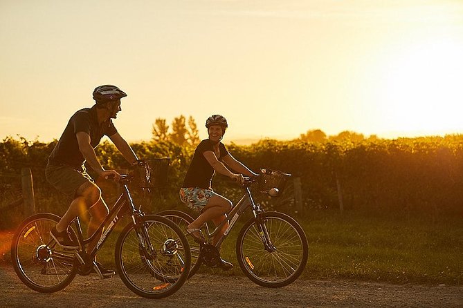 Morning Guided with Afternoon Self-Guided Biking Wine Tour - How much value do you get for $117.91?