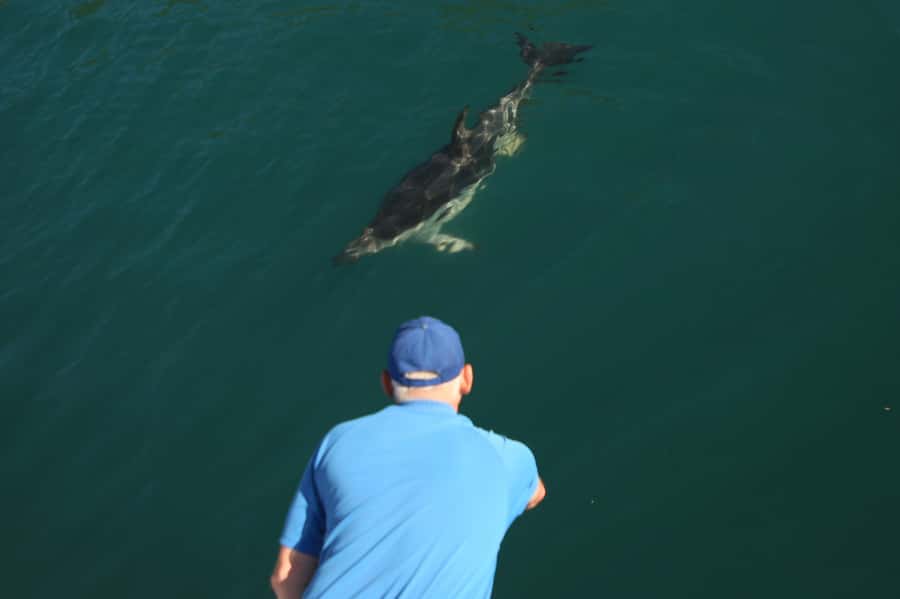 Motuara Island Sanctuary: Wildlife & Dolphin Watching Tour - A small boat with a useful set of extras