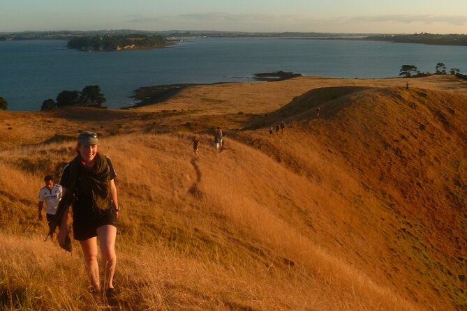 Motukorea / Browns Island Sea Kayak Journey - Returning to Auckland by kayak