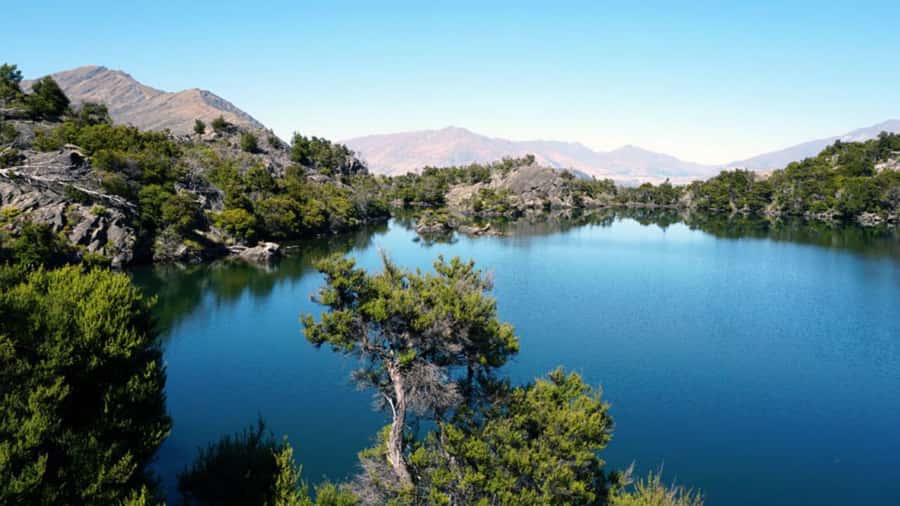 Mou Waho Island: 3-Hour Cruise and Guided Nature Walk - The lake above Mou Waho