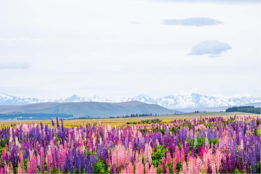 Mount Cook Full-Day Tour: Queenstown to Christchurch - Leaving Queenstown and crossing Lindis Pass