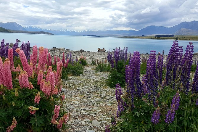 Mount Cook, Lake Tekapo and Tasman Glacier Tour from Christchurch - Arriving at Aoraki Mount Cook National Park