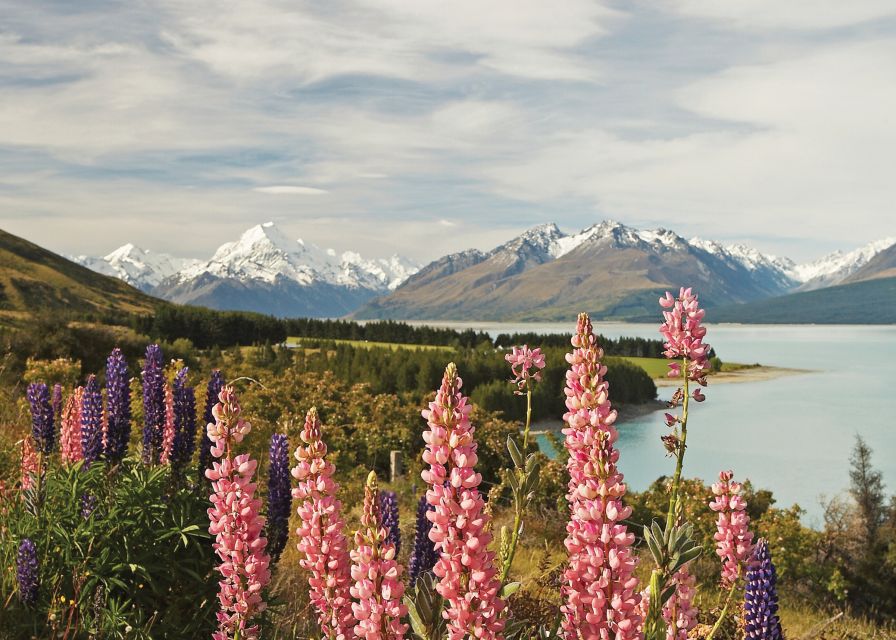 Mt. Cook Day-Tour: Christchurch to Queenstown - What $230 gets you, and what it does not