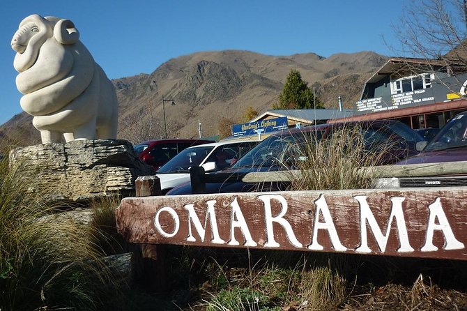 Mt Cook Small Group Scenic Day Tour from Queenstown - The return route adds salmon and fruit