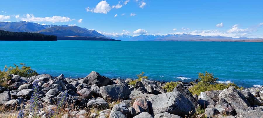 Mt Cook Tour: Finish at Dunedin, Christchurch or Queenstown - An early start from Dunedin