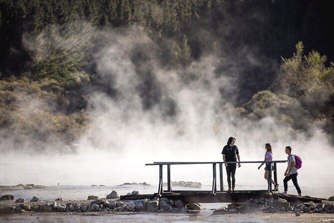 Mud Spa & Nature: Auckland to HELL's GATE, Rotorua & Blue Springs - Why this day works for first-time visitors