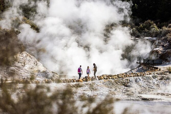 Mud Spa & Nature: Auckland to HELL's GATE, Rotorua & Blue Springs - Putāruru Blue Springs: clear water and quiet bush