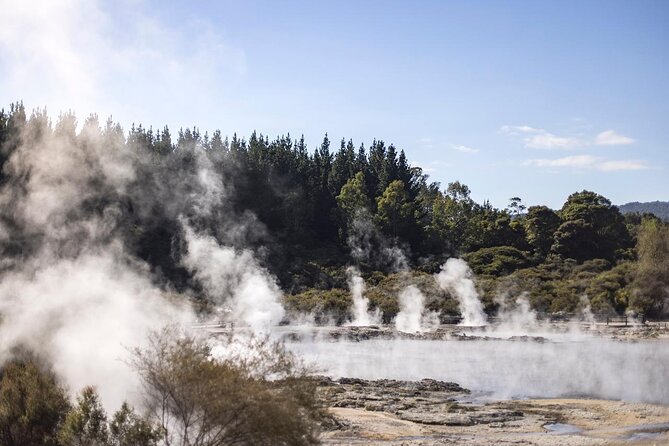 Mud Spa & Nature: Auckland to HELL's GATE, Rotorua & Blue Springs - The long return to Auckland