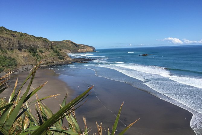 Muriwai Scenic Wine Tour from Auckland - Soljans Estate: a family winery with a long-running story