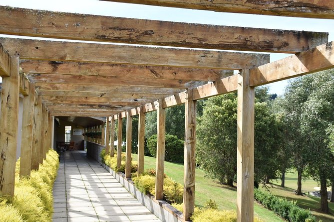 Muriwai Scenic Wine Tour from Auckland - Otakamiro Point and the gannet colony